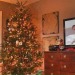 Trees up
