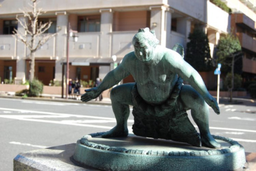 Woman attempting suicide in Tokyo has life saved by 20 sumo wrestlers