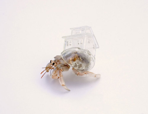 therhumboogie:By Aki Inomata, quite literally taking the hermit crabs ability for carrying their hom