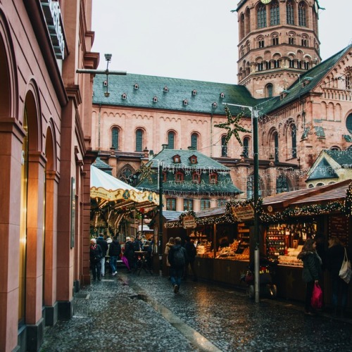 linazelonka:winter places. ❄fulda, erfurt, mainz, kirn (germany)instagram: morningtrainpoetry