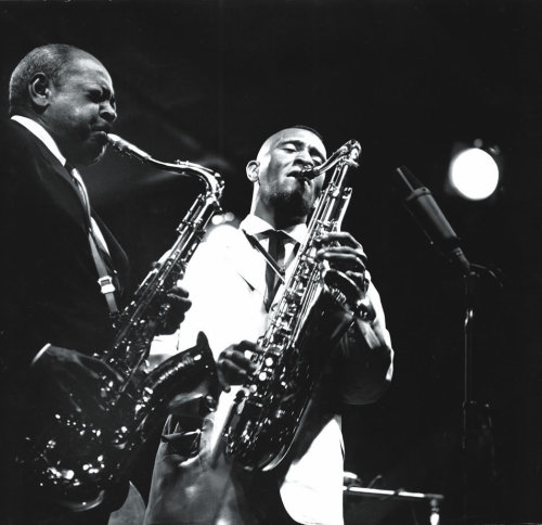 Sonny Rollins and Coleman Hawkins at Newport, 1963
