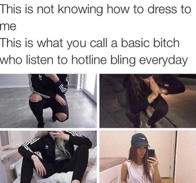 Basic bitch meme