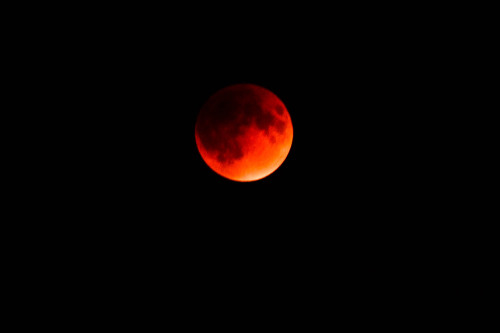 Super Blood Moon Eclipse! [x]