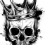 darkking1713