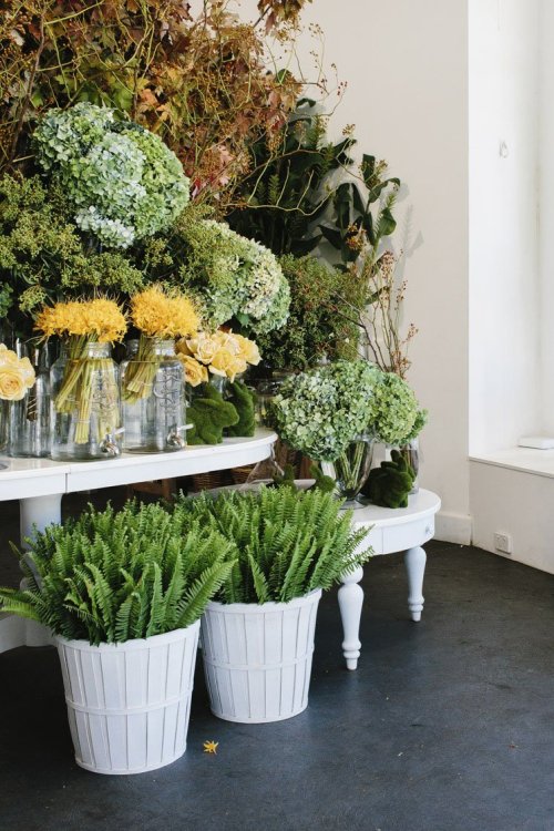 fleaingfrance:  Fleur McHarg | Floristry and Event Styling | Est Magazine 