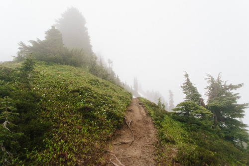 kasieisdell: Come adventure in the fog with me.