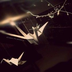ronbeckdesigns:  paper cranes 