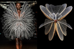 whereiseefashion:  Match #419Iris van Herpen