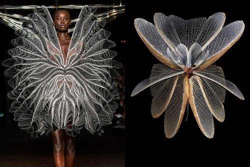 Match #419Iris van Herpen Fall 2018 Couture | Mimesis - Iridis Ishtarae by Seb Janiak, 2012More matc