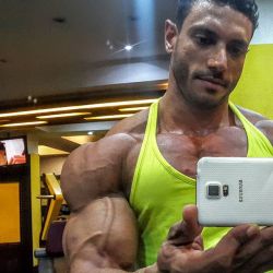 musicianbear72:  alphamusclehunks:  musclerod8888:  Haney Saeed in a seriously hot arm &amp; delt selfie……think it derserves a 10/10   Sexy, large and in charge. Alpha Muscle Hunks.http://alphamusclehunks.tumblr.com/archive  Superhero shoulders