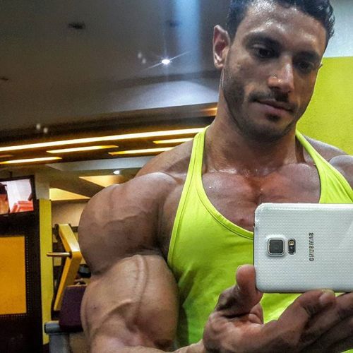 musicianbear72:  alphamusclehunks:  musclerod8888:  Haney Saeed in a seriously hot arm & delt selfie……think it derserves a 10/10   Sexy, large and in charge. Alpha Muscle Hunks.http://alphamusclehunks.tumblr.com/archive  Superhero shoulders
