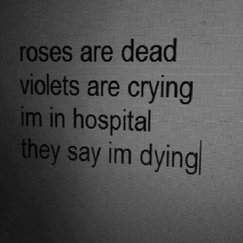 Wild Heart