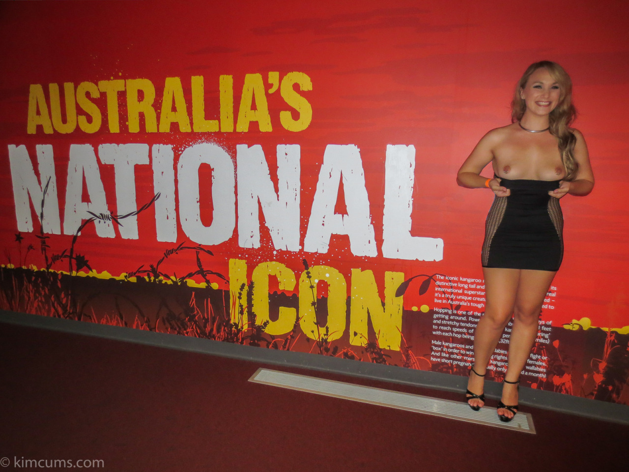 Do you think I should be Australia&rsquo;s new National Icon?