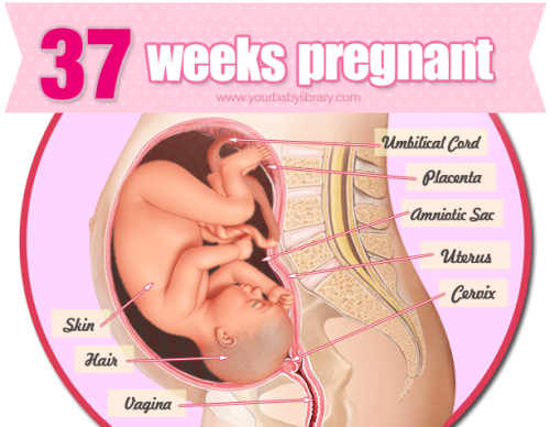 While 37 weeks pregnant you should be getting a lot of rest as your life has hopefully slowed down b