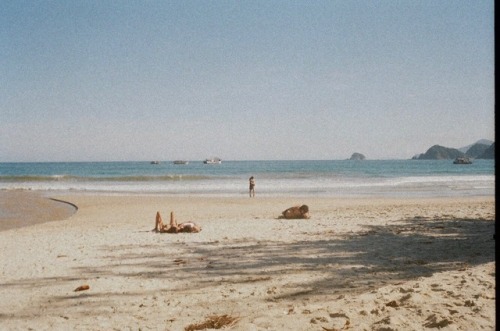dog-bowl:Praia do Sono, Paraty.35mm film