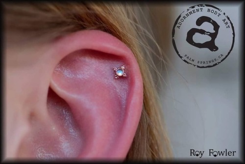 Phresh Helix from today with a rose gold Mini Kandy and rainbow moonstone #safepiercing #app #fashio