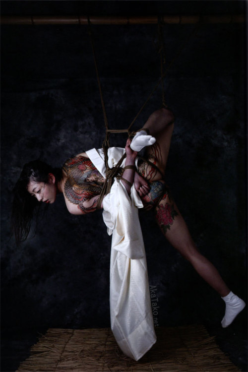 WAYOU KINBAKU MIYABI by Hajime Kinoko focuses on traditional, elegant kinbaku. Natural ropes, refine