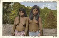 The-Two-Germanys:  The Pick Of The Chief’s Harem, Darien Indians, Rep. Of Panama.postcard,