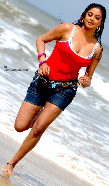 hotindianactress:Priyamani - Curvy babe