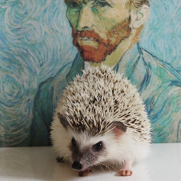 adventuresofcalico:  Art-hog pt.2