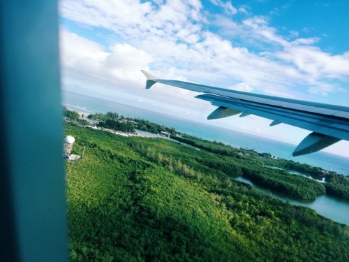 californiavida: I need to travel  Instagram: @danikaeddowes