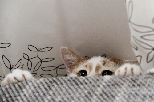 (via moinster)