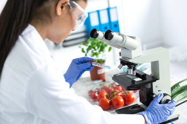 Untitled — Food Safety Testing Market Revenue Size to grow by...