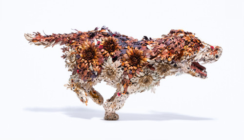 the stunning metal sculptures of animals by Taiichiro Yoshida