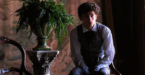 kerirussel: Timothée Chalamet as Laurie in Little Women (2019) dir. Greta Gerwig