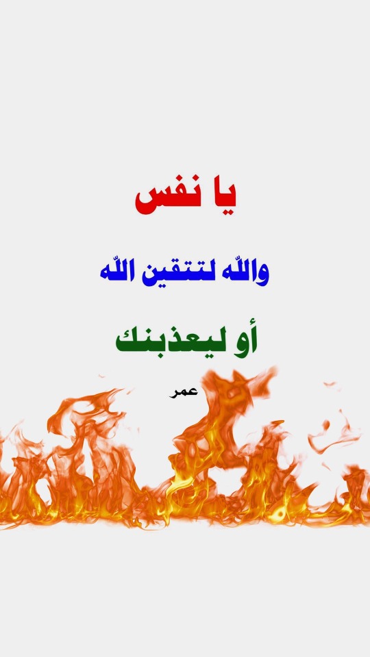 lavender-i-21 - ضياء الراك○•°`