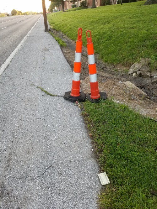 Here We Have Couple Of Traffic Cones Discussing The Latest Juicy Gossip.
