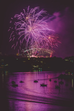 drxgonfly:  Happy New Year (by Pav Dharia)