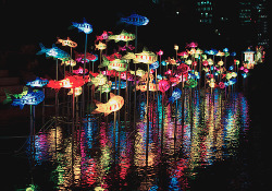 simsterfy:  Seoul Lantern Festival - Cheonggyecheon, Seoul, Korea 