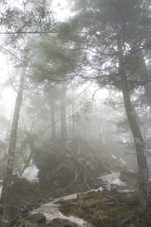 90377:Mt Kumotori (explored) by takashi_matsumura on Flickr.