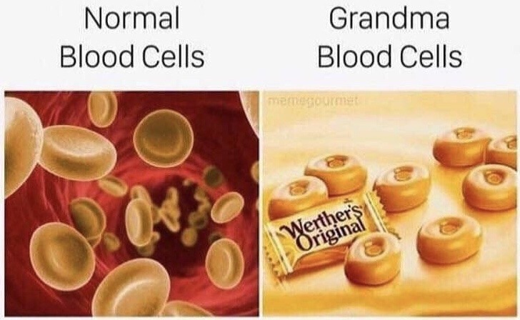 dankmemeuniversity: 