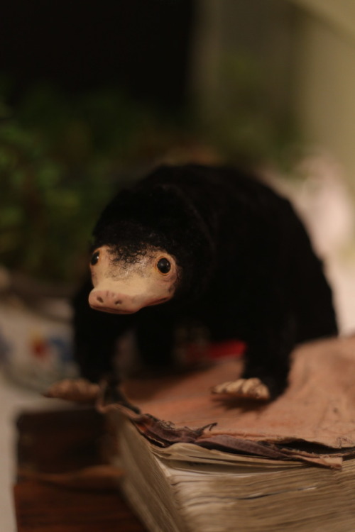 I made a life-size posable niffler to accompany Newt to Katsucon! This guy is so unbelievably soft a