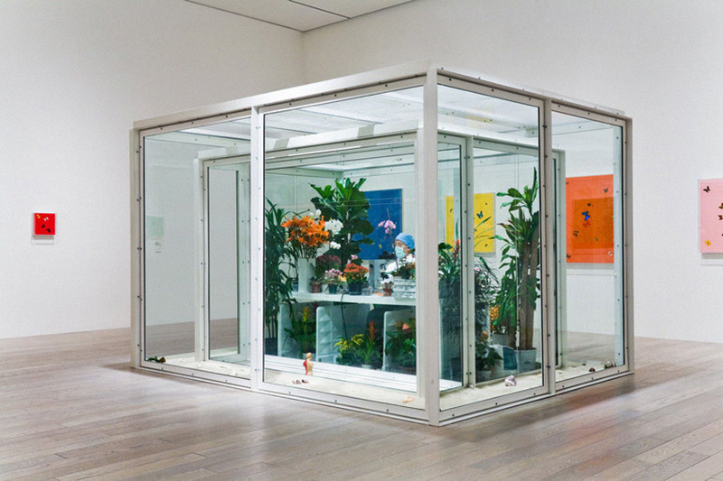 likeafieldmouse:  Damien Hirst - Vitrines (1990-2008) 1, 2. The Collector 3, 4.