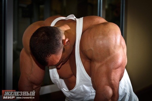 muscleaddictza:  http://shabunya.tumblr.com/
