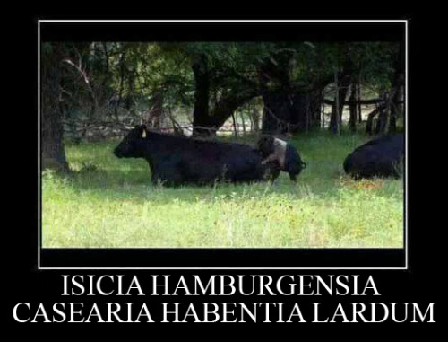 Isicia Hamburgensia Casearia Habentia LardumBacon Cheeseburgers(Source.)