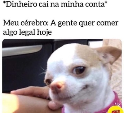 seu-bobo-da-corte: