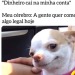 seu-bobo-da-corte: