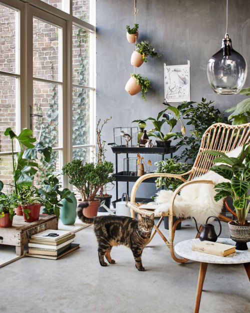 lovestitchclothing:Home Decor Heaven