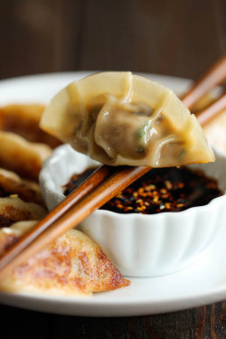 thekitchenfrontier:Potstickers • Damn Delicious