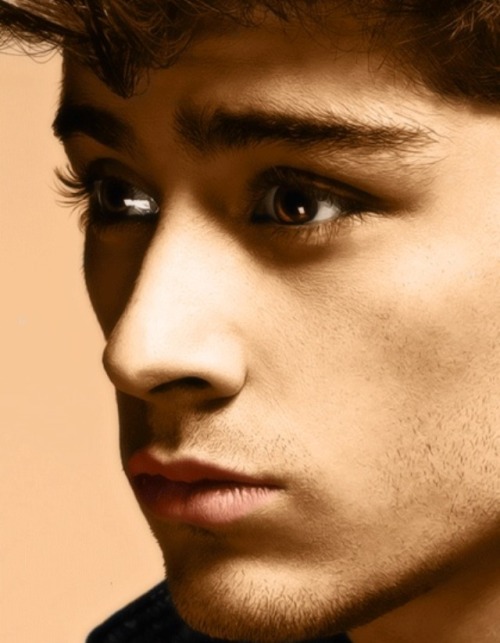 1dfanfictorforever:  I know that people are certain “girls" but come on u gotta like all the guys. I love him but there is more in the band then just harry 