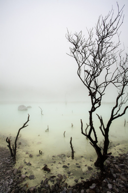 shesnake:Sulpher lake “Kawah Putih” // Bandung, Indonesia