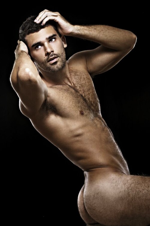 argen-ladd: