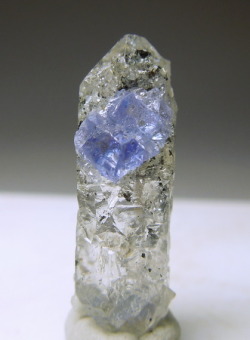 Mineralists:  Terminated, Colorless Crystal Of Quartz With A Blue Tanzanite Section