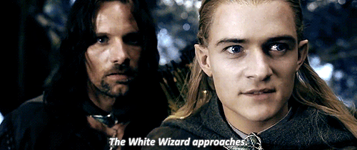 theheirsofdurin:  Aragorn, something is out there!- What do you see? 