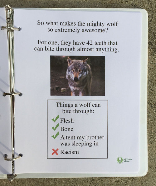 dinobuttz:obviousplant:I left a free biology report outside a Los Angeles high school. See a bonus p