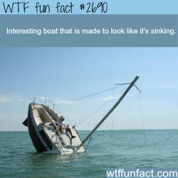 wtf-fun-factss:  Boat designed to look like its sinking - WTF fun facts